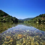 Vikendica Pored Drine Foca Дом отдыха Handici