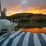 Vikendica Pored Drine Foca Semesterbostad Handici