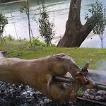 Vikendica Pored Drine Foca * Handici