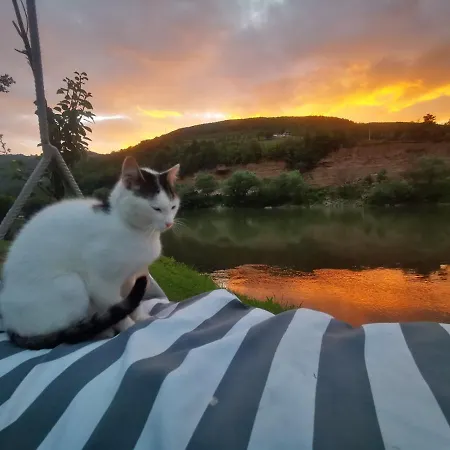 Nyaraló Vikendica Pored Drine Foca Handici