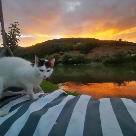 Vikendica Pored Drine Foca بيت للعطل Handici