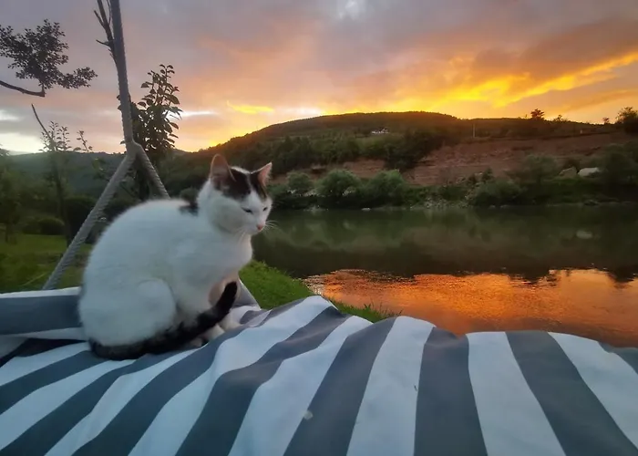 度假居 Vikendica Pored Drine Foca Handici