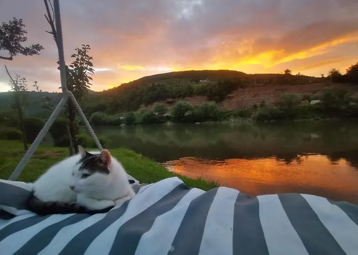 Vikendica Pored Drine Foca 度假居 *